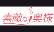 素敵な奥様（川崎ハレ系）